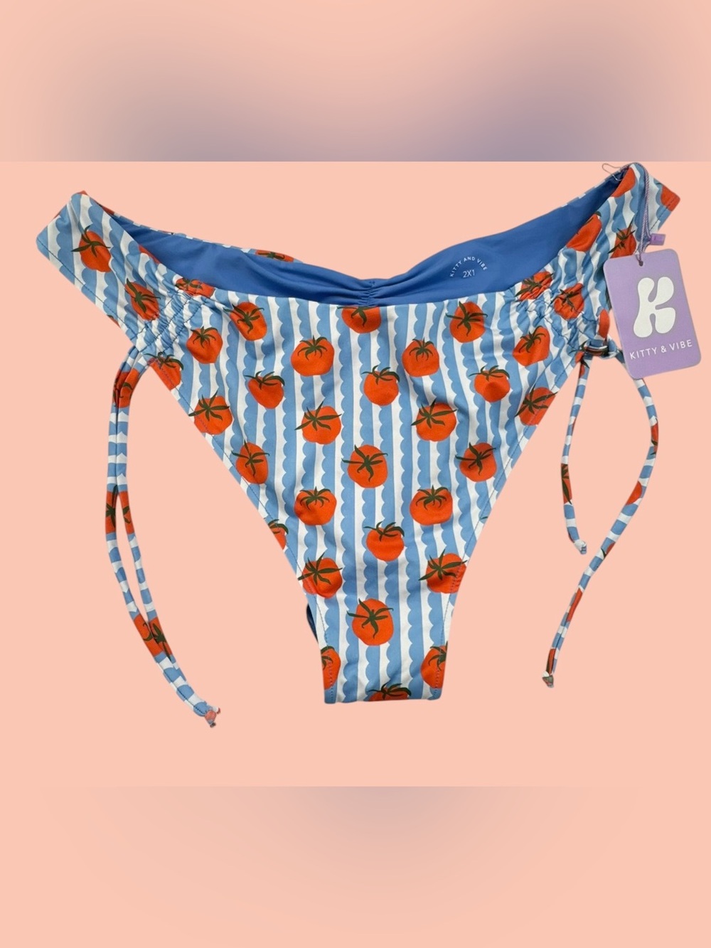 Kitty and Vibe Blue Tomato Striped Picnic Bikini Bottoms Size 2X1 Ruched